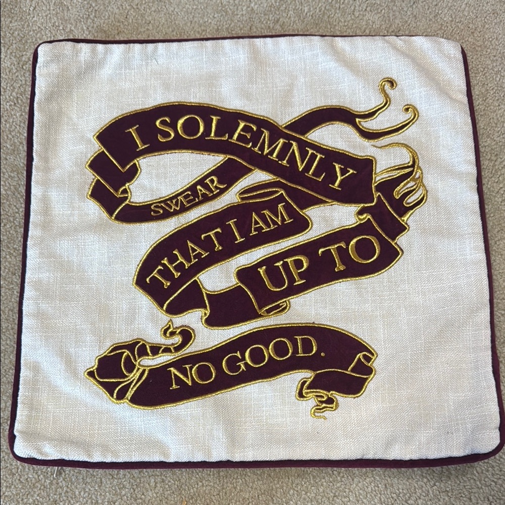 Pottery Barn Teen Mischief Pillow - Purple and Gold